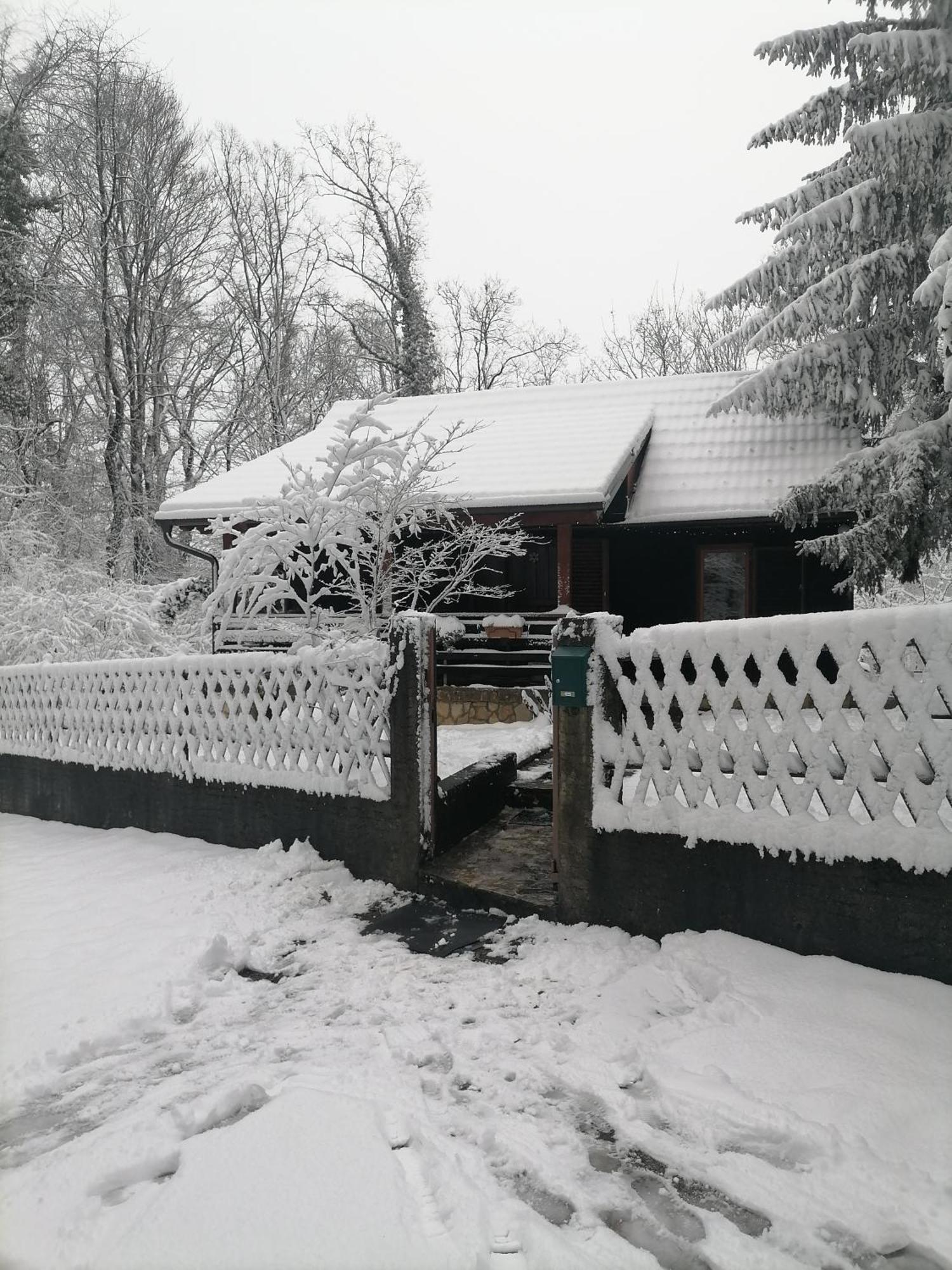 Cabin In The Woods Vukelic Stubicke Toplice Eksteriør billede