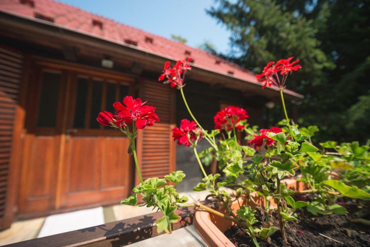 Cabin In The Woods Vukelic Stubicke Toplice Eksteriør billede
